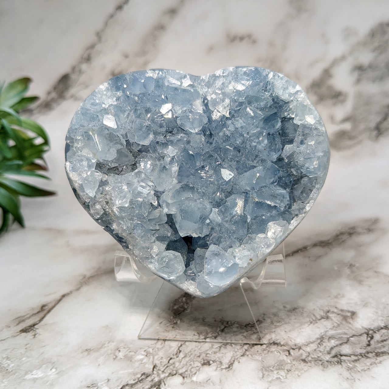 Celestite 3’ Heart #LV5253 - Beautiful Blue Quartz Heart Shaped Crystal