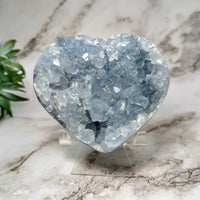 Thumbnail for Celestite 3’ Heart #LV5253 - Beautiful Blue Quartz Heart Shaped Crystal