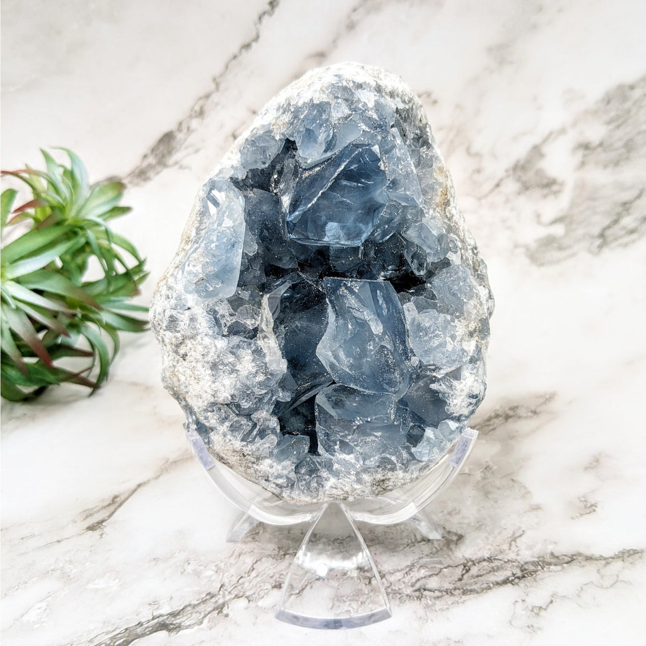 Celestite 4.9’ Geode #LV4535: Blue Quartz Stone on Marble Table