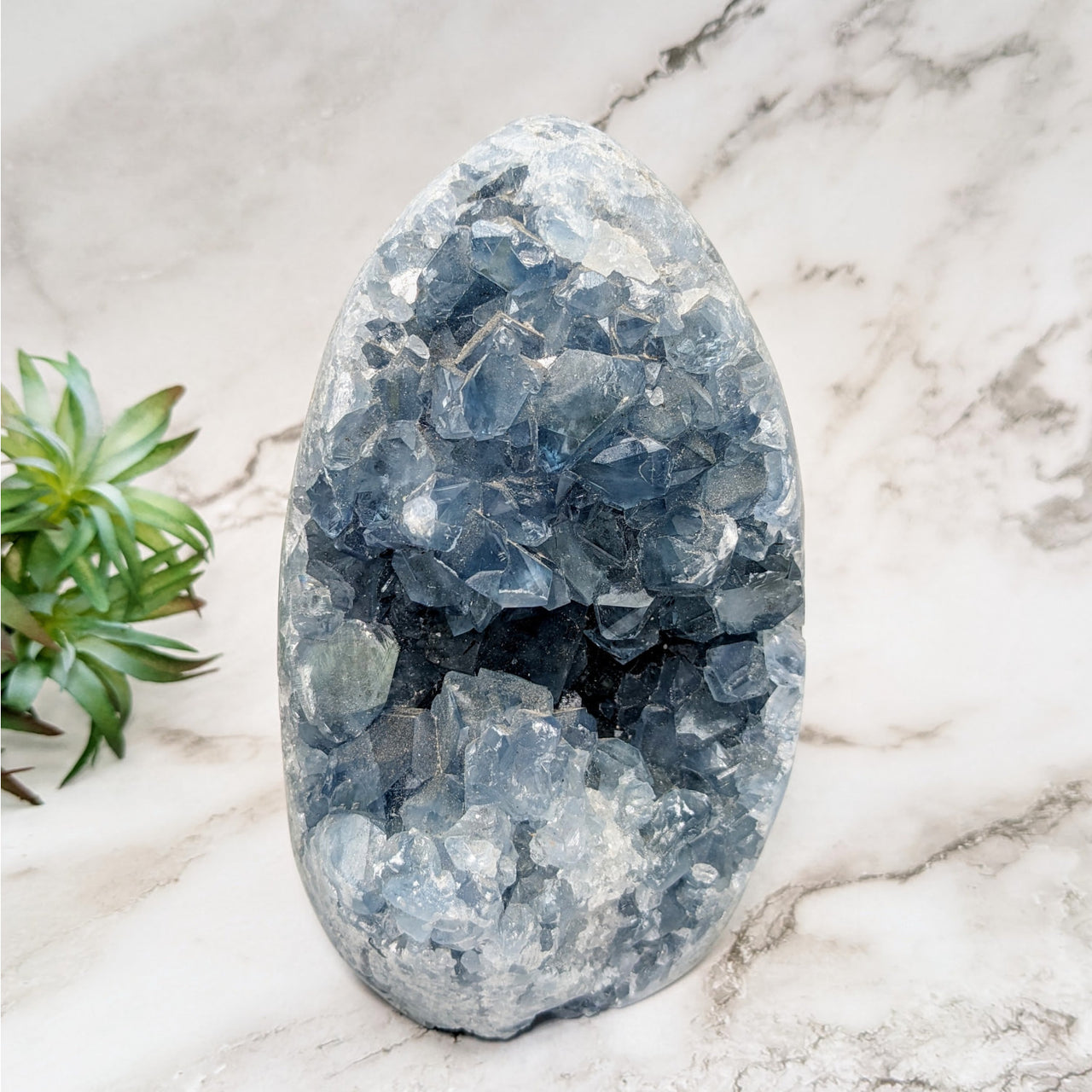 Celestite 6.1’ Druzy Freeform #LV5254 - Blue Quartz Egg on Marble Counter