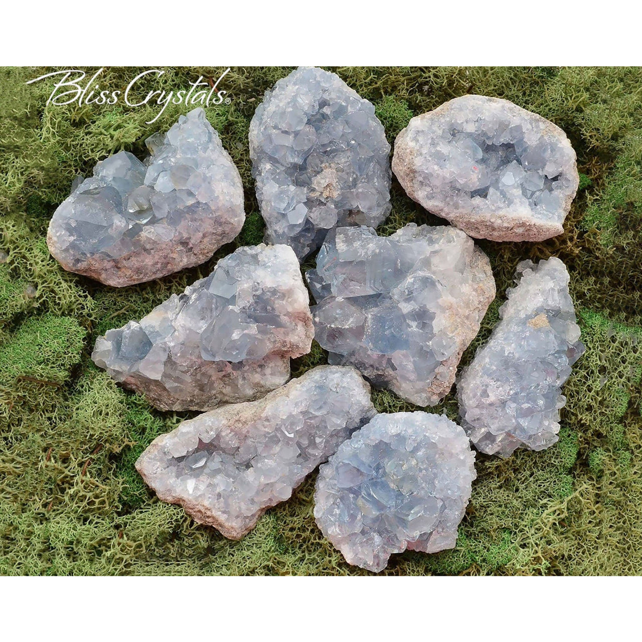 CELESTITE Large Geode Rough Mineral Specimen - Natural Quartz Crystal Cluster #CG23