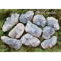 Thumbnail for 1 CELESTITE Med Geode Rough Mineral Point Specimen Crystal 