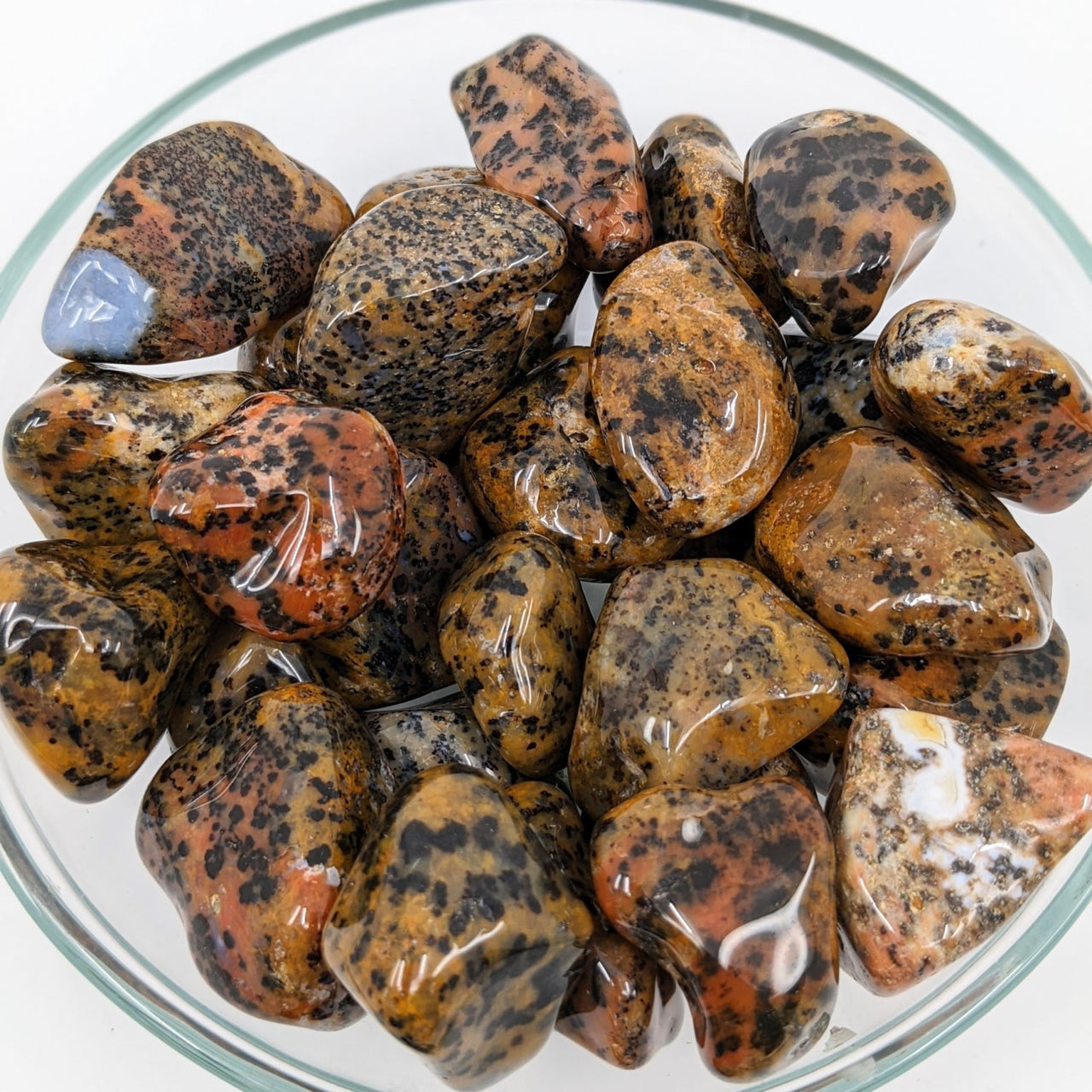 A bowl of Cheetah Agate Grade A tumbled stones (Product #SK6882)