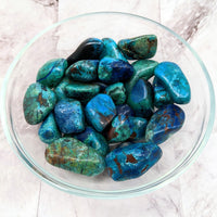 Thumbnail for Bowl filled with Chrysocolla & Shattukite tumbled stones (1-1.5’) #LV2282