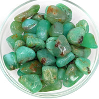 Thumbnail for Chrysoprase Tumbled Lg-XL #SK6778