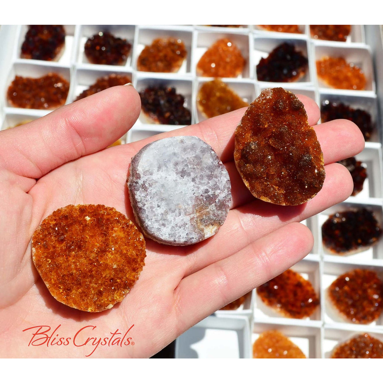 Sparkley! 1 CITRINE Cut Geode Cabochon #SR21