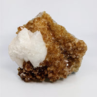 Thumbnail for Citrine Fire & Ice Rough Geode #LV4657: Rock with white mineral formations on top