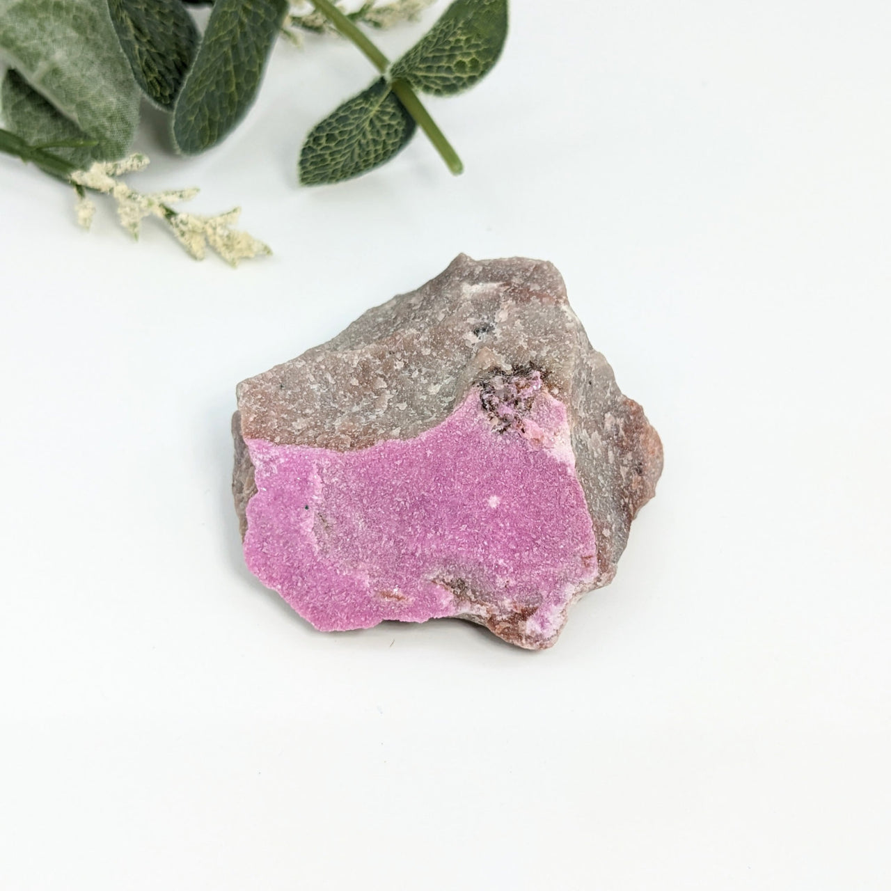 Cobaltian Calcite 2.3’ Rough Specimen #LV2476 with a pink rock and plant in the background