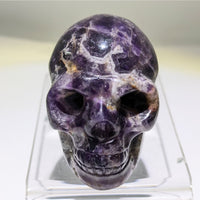 Thumbnail for Crystal Skull Carving with Purple Stone on Head - Tigers Eye Healing Decor #C077