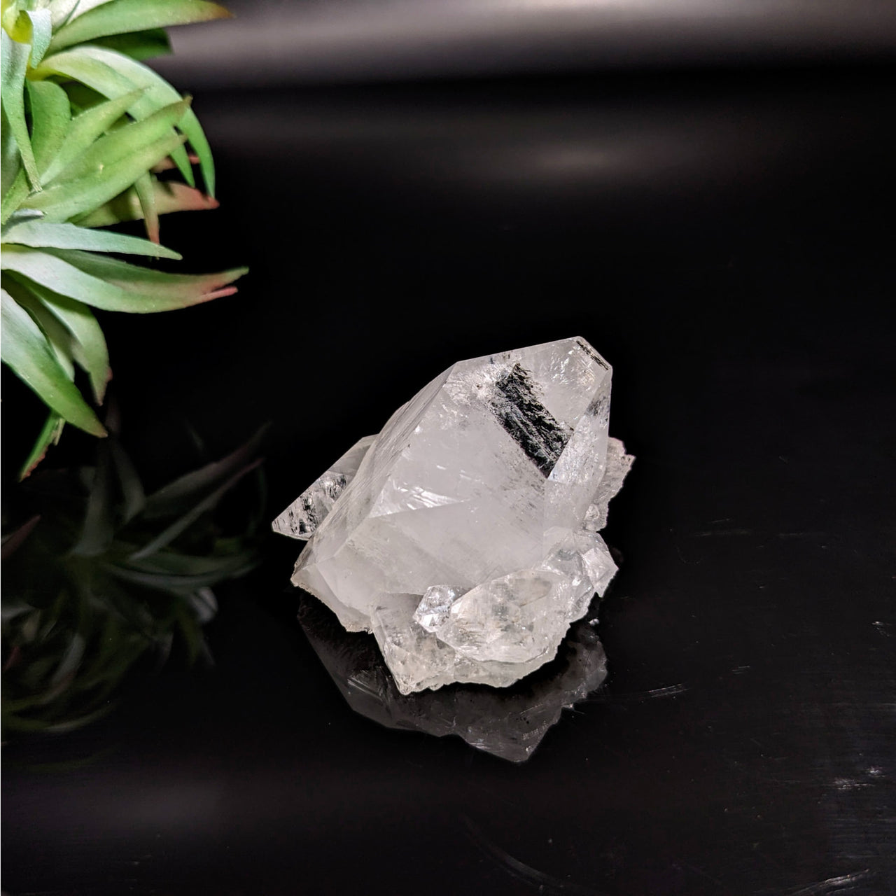 White Quartz Cluster on Black Surface - Diamond Apophyllite 2\’ Cluster #LV5170