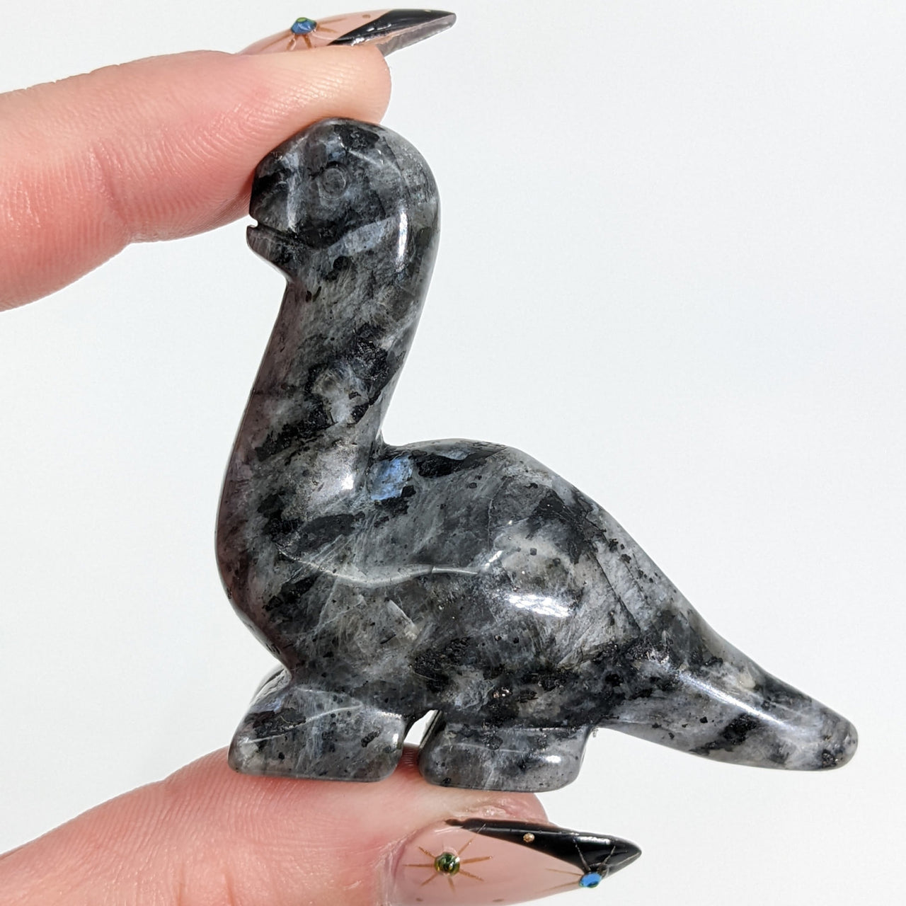 A person holding a small black bird with Dinosaur Carving 2’ (Larvikite) #LV1355 blue pearl in view