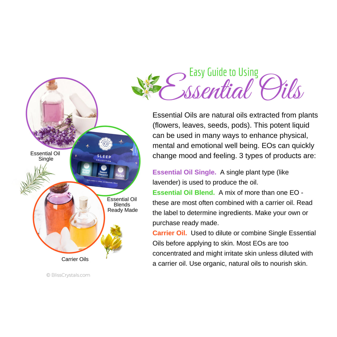 Assorted essential oils for skin displayed with Essential Oil Information Card #Q159