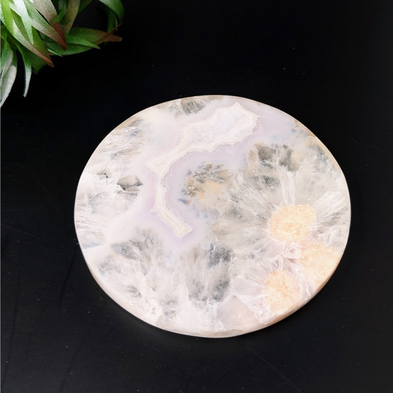 Flower Agate 3.5’ Coaster Plate #LV4425 on white marble with black background