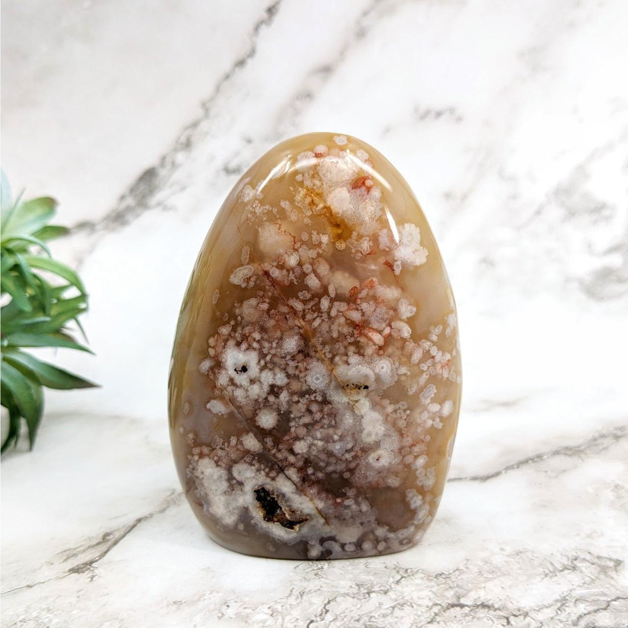 Flower Agate 3.5’ Freeform #LV5266: Large brown and white stone with small substance