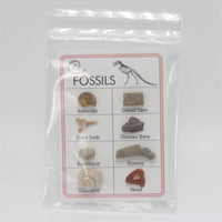 Thumbnail for Bag of fossil specimens displayed with Fossil Card #XBH005