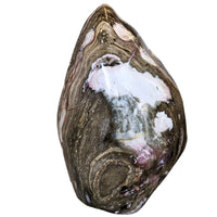 Thumbnail for Giant Ocean Jasper Freeform #LV4869: Large Brown and White Rock on White Background