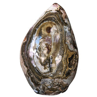 Thumbnail for Close-up of Giant Ocean Jasper Freeform #LV4869 with large oyster shell and small shell inside