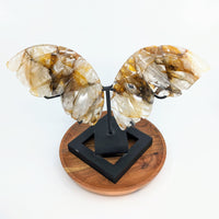 Thumbnail for Gold Hematoid Quartz sculpture of butterfly wings with stand #C140