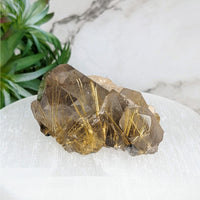 Thumbnail for Gold Rutilated Quartz Cluster 2.3’ - Large Rock with Natural Quartz | LV4013 Decor