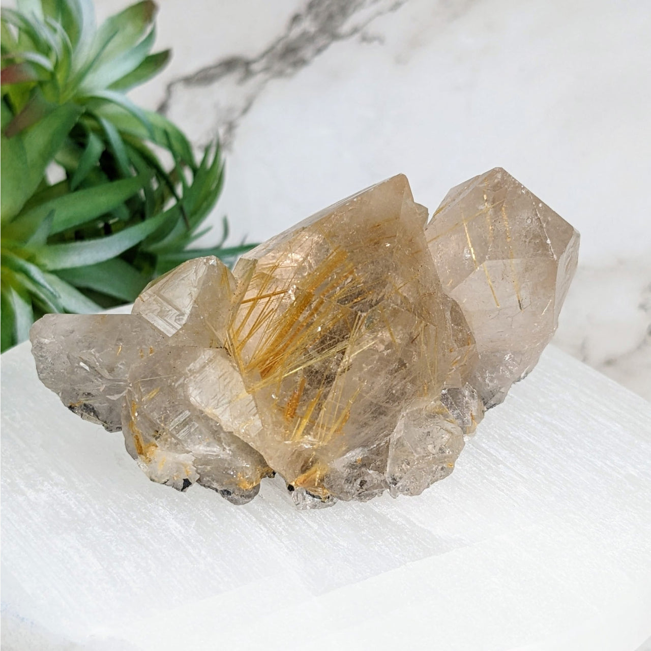 Gold Rutilated Quartz Cluster on White Marble Block - Product #LV4012