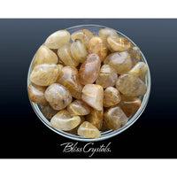 Thumbnail for 1 MedLrg Gold RUTILATED QUARTZ Tumbled Stones w Black 