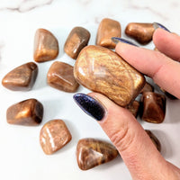 Thumbnail for A person holding Golden Feldspar tumbled stone brown and black #LV1531