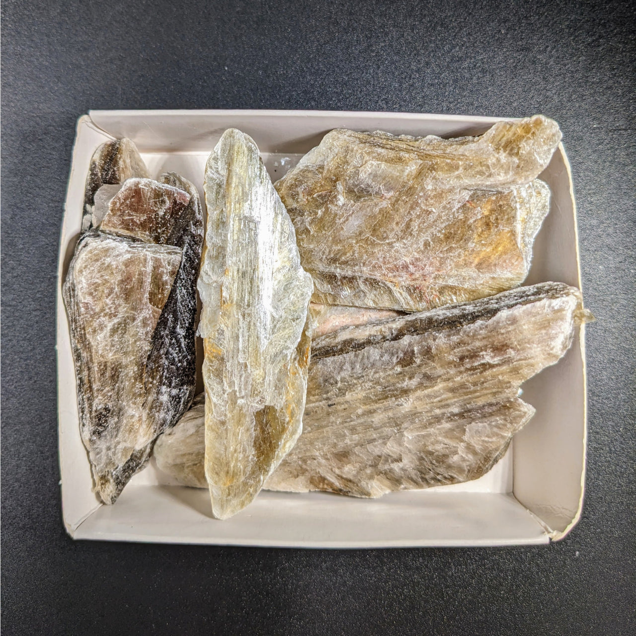 White plate with Golden Mica Mixed Sizes Flat Spears, 8oz Bulk Lot #LV3440 crystals