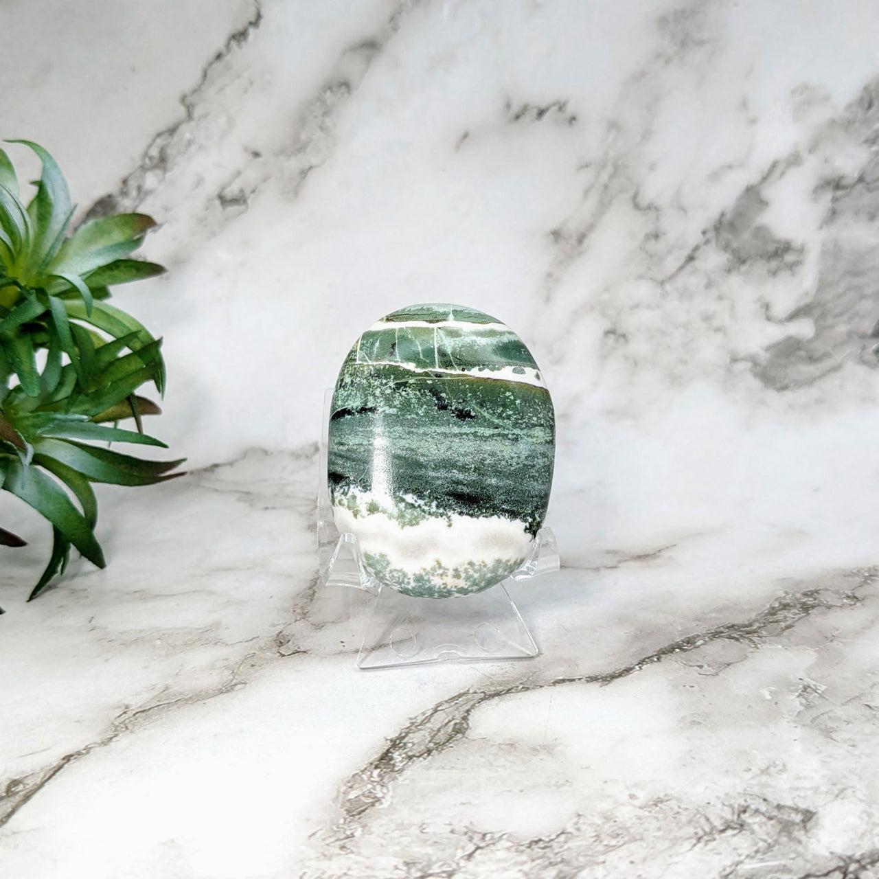 Green Zebra 22.1’ Sardonyx Palm stone block on a marble counter #LV5166