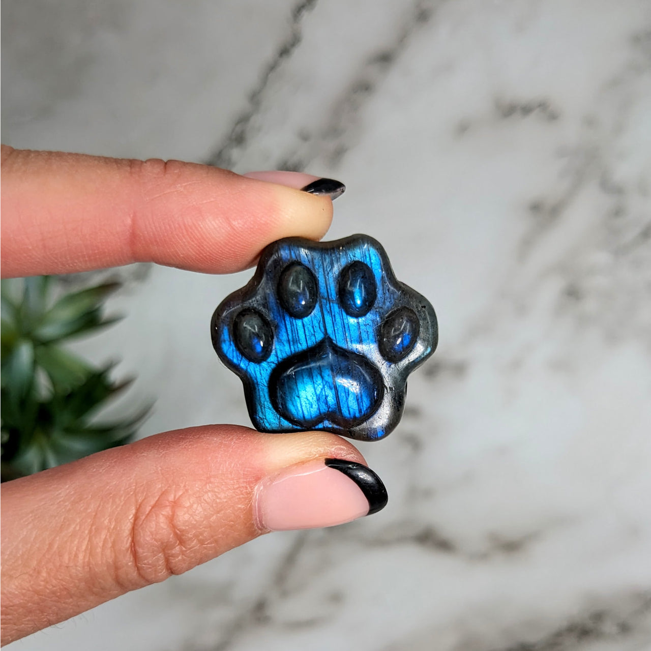 Hand holding Labradorite 1’ Paw Print Ring, blue and black tones, product #LV4163