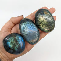 Thumbnail for Hand Holding Labradorite Pebble Palm Stones #SK7434 on White Background