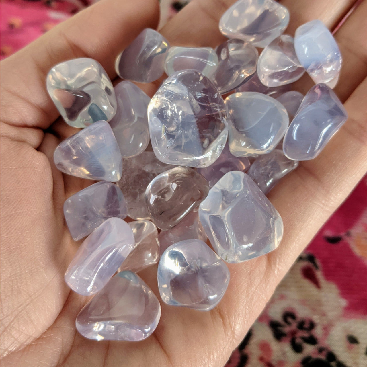 Hand holding clear quartz crystals from Lavender Gem Quartz Tumbled Stone #SK2184