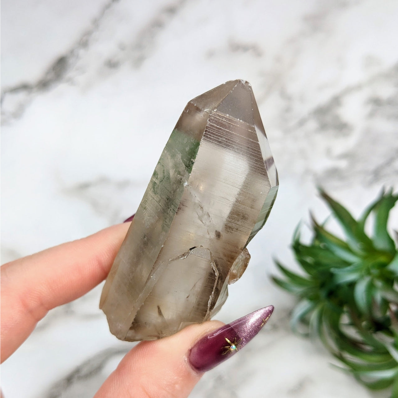 Hand holding Lemurian Citrine Quartz Point with a lush plant in the background