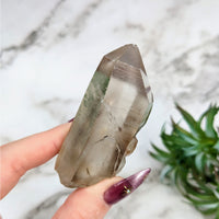 Thumbnail for Hand holding Lemurian Citrine Quartz Point with a lush plant in the background