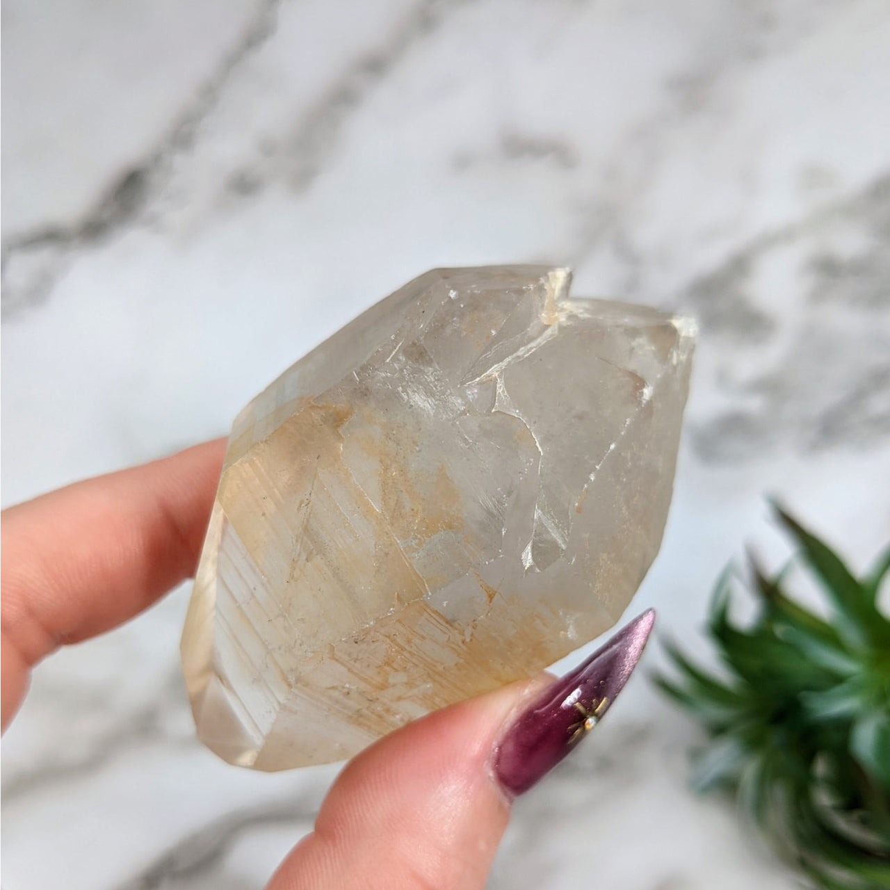 A hand holding a Lemurian Citrine Quartz Point with a plant in the background