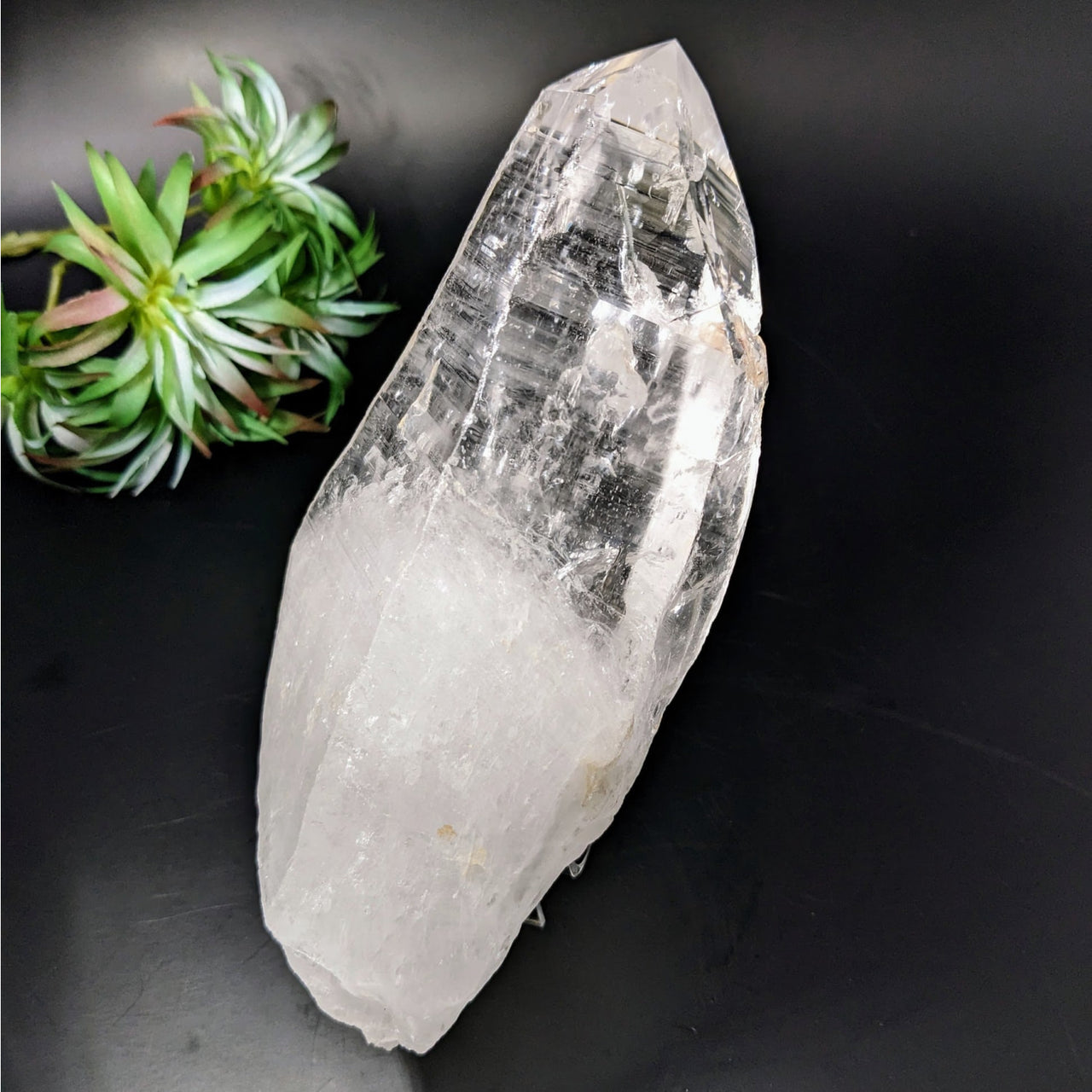 Large Lemurian Quartz Natural Point with Small Plant - 7.4’ #LV4331