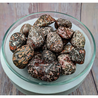 Thumbnail for A bowl of dry fruit on a wooden table with Leopardskin Jasper tumbled stones #SK9932