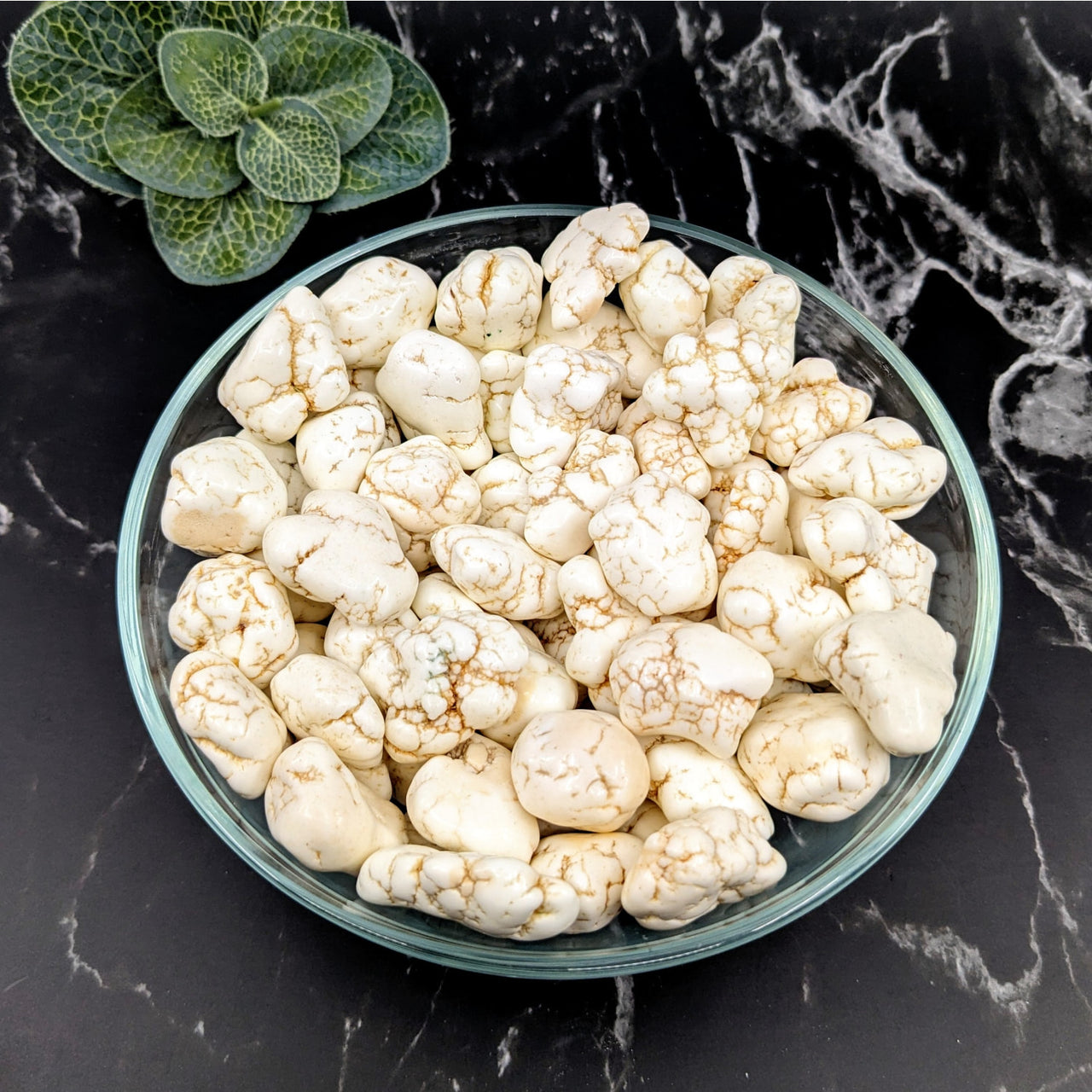 A bowl of white mushrooms on a black table with Magnesite tumbled stones #LV5758