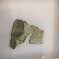 Thumbnail for Moldavite Raw Besednice 1.657g #SK0548 from Czech Republic on white surface