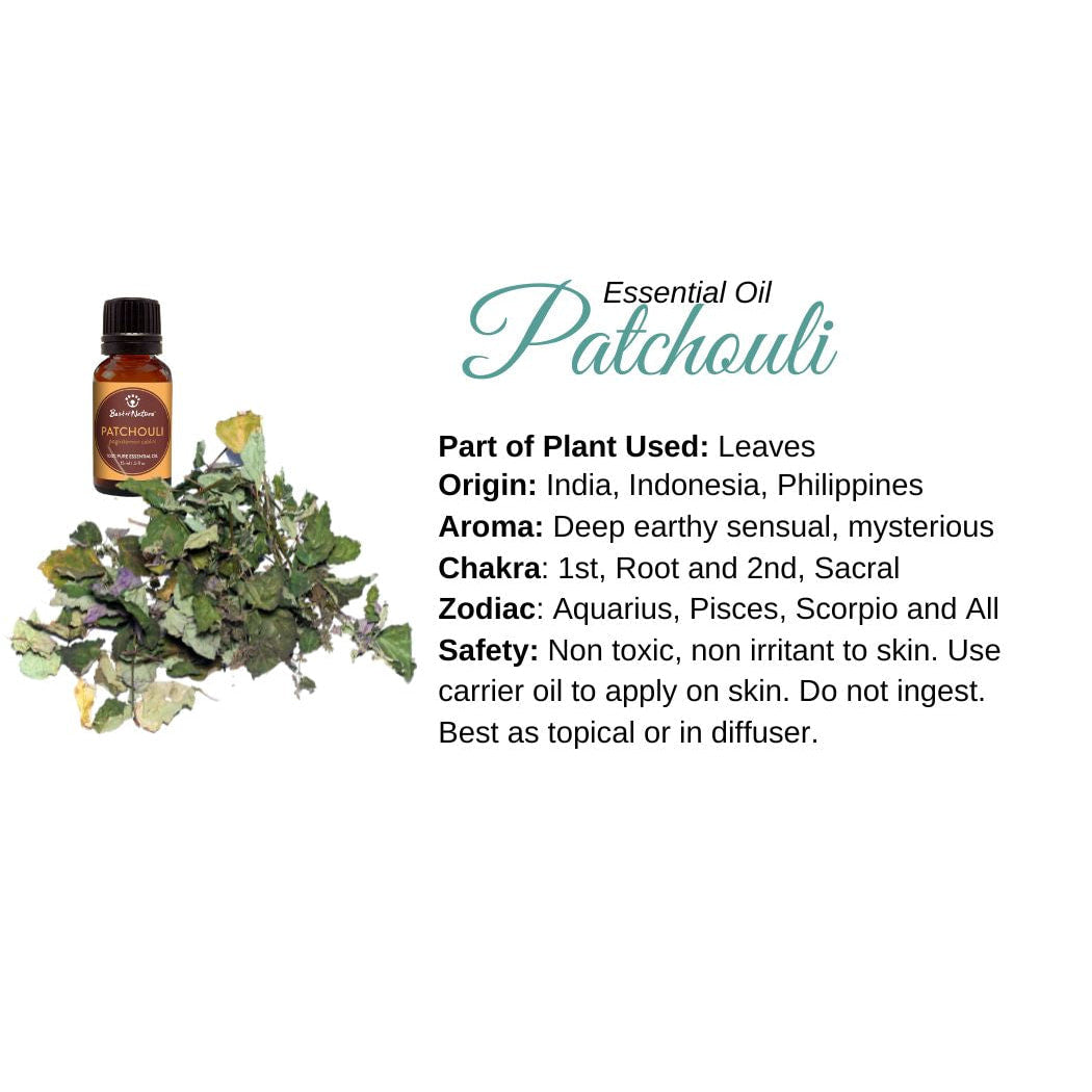 Bottle of essential oil next to a plant - Patchouli Essential Oil Info Card #Q067