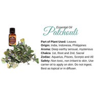 Thumbnail for Bottle of essential oil next to a plant - Patchouli Essential Oil Info Card #Q067