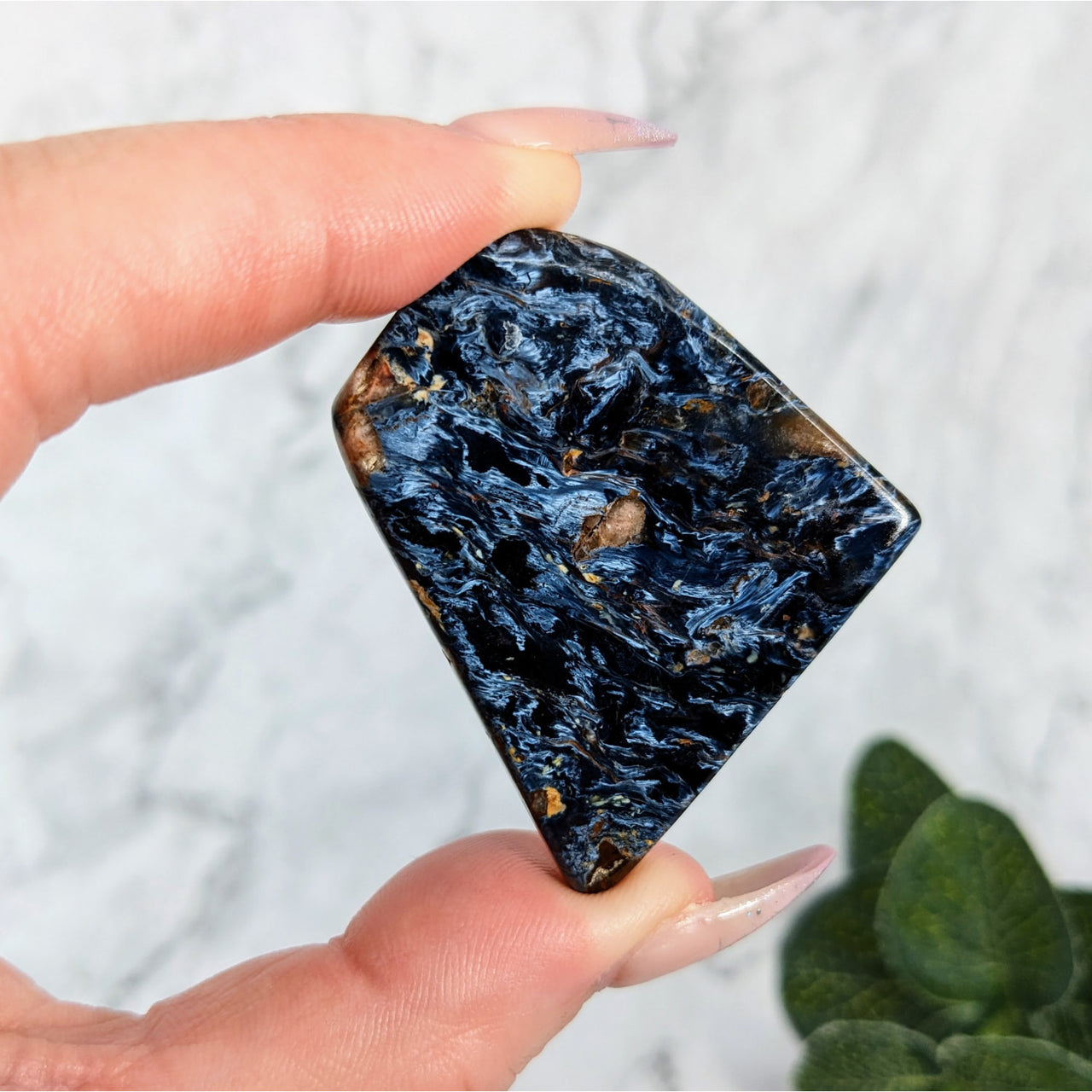 Hand holding flat-shaped blue and black Pietersite 1.5’ polished slice #LV5723