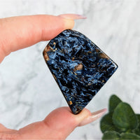 Thumbnail for Hand holding flat-shaped blue and black Pietersite 1.5’ polished slice #LV5723