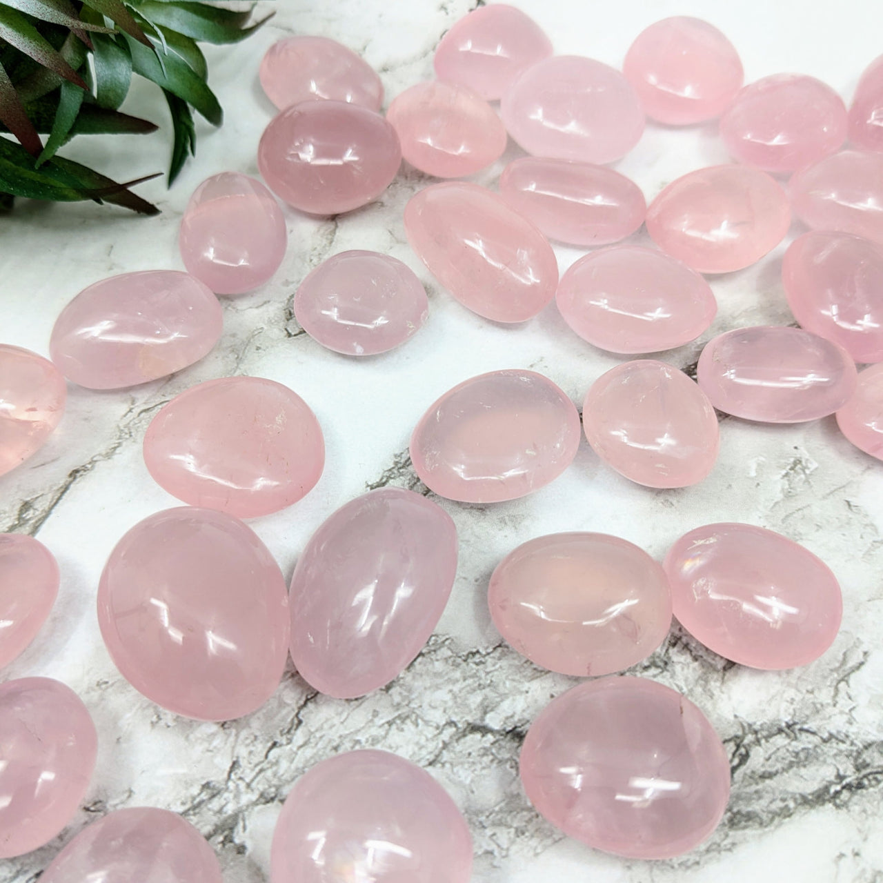 Pink Girasol Quartz tumbled stones on marble table with plant in background - #LV5044