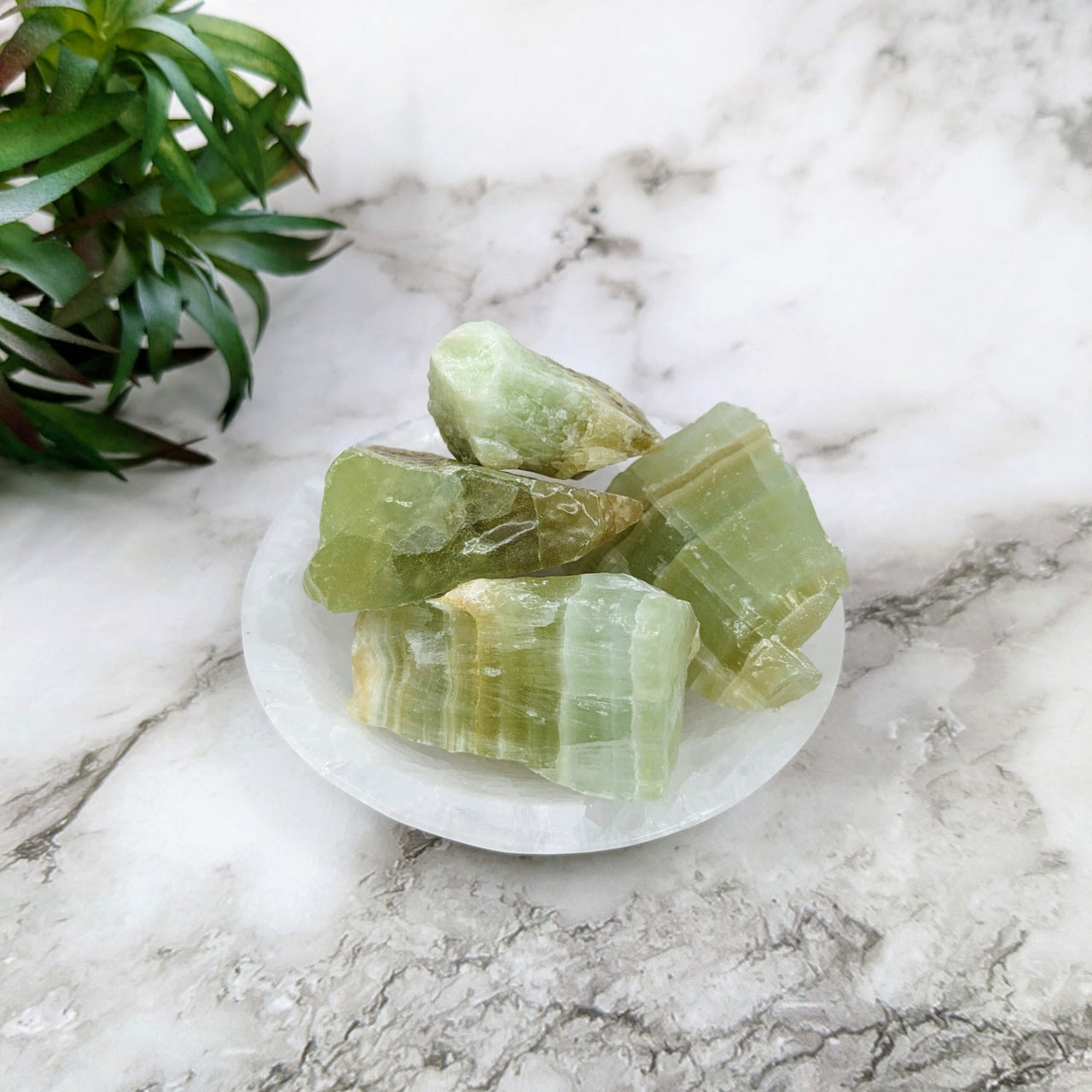 Small green quartz stone on white marble plate from Pistachio Green Calcite Bulk Lot