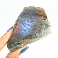 Thumbnail for A hand holding a Purple Labradorite Half Polished, Half Rough Stone with rainbow colors #SK8963