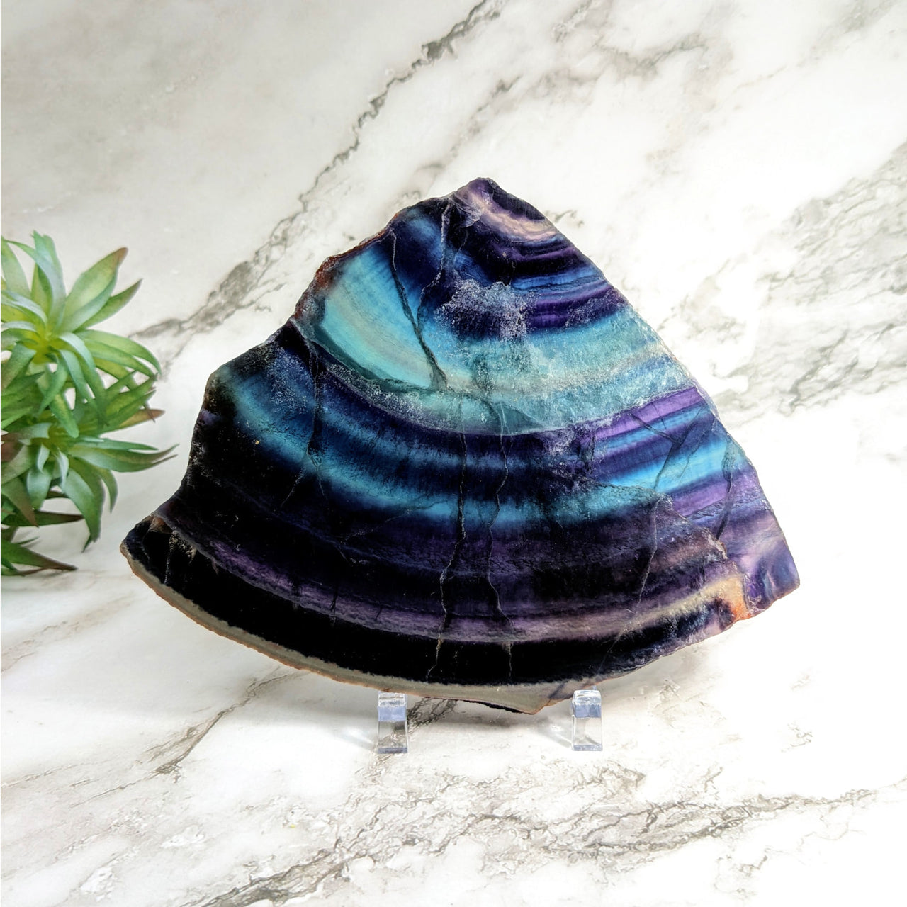 Rainbow Fluorite 6.4’ Slab #LV4713 in flat shape on marble table, blue and purple hues