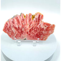 Thumbnail for A flat piece of meat on a white plate from Rhodochrosite Slab + Stand #LV1100