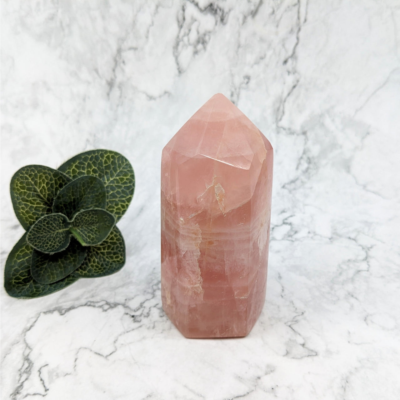 Rose Quartz 4.2’ Generator on marble table next to plant - 50% OFF SALE! #LV5770