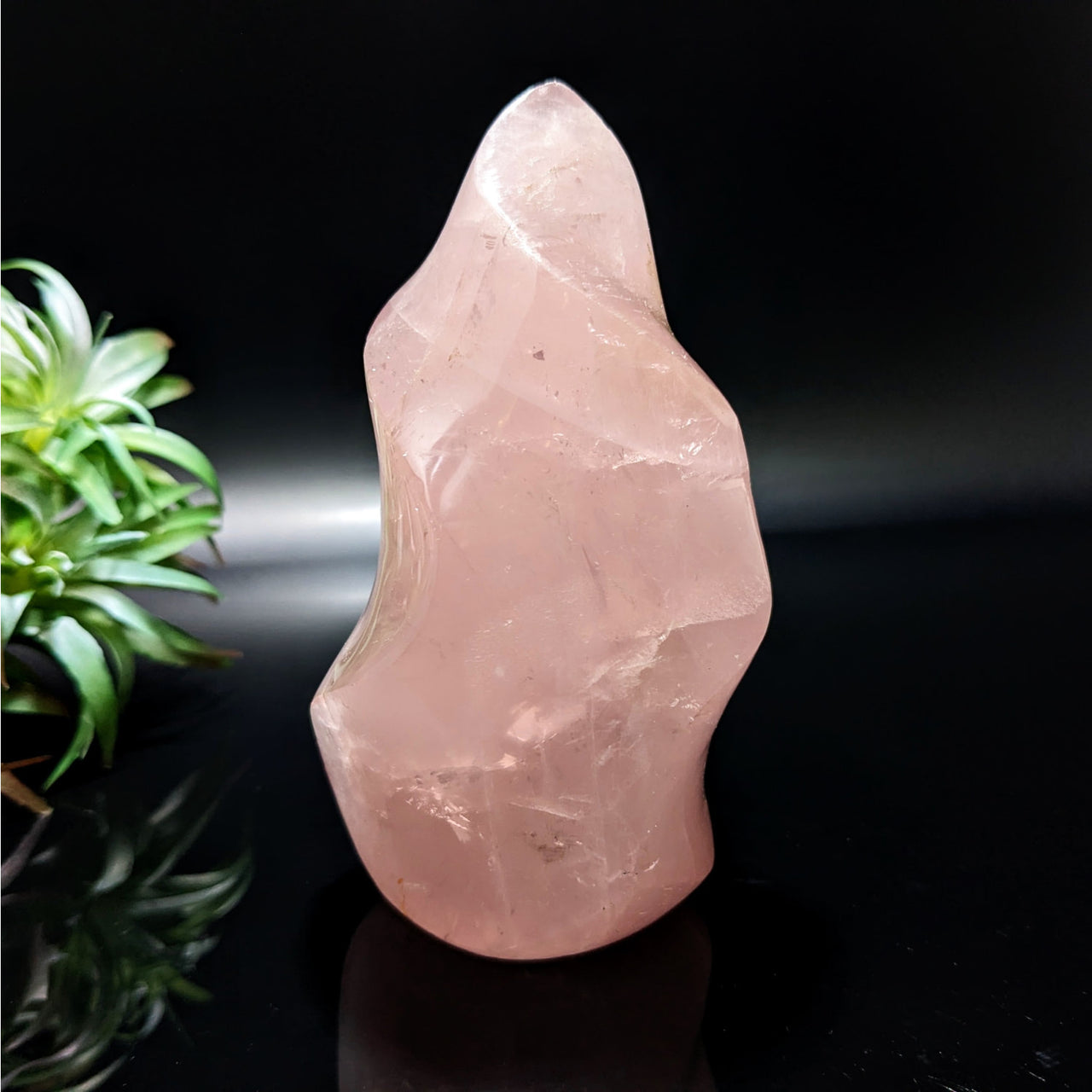 Rose Quartz 4.3’ Flame with Plant - Crystal Healing Energy Stone #LV4741