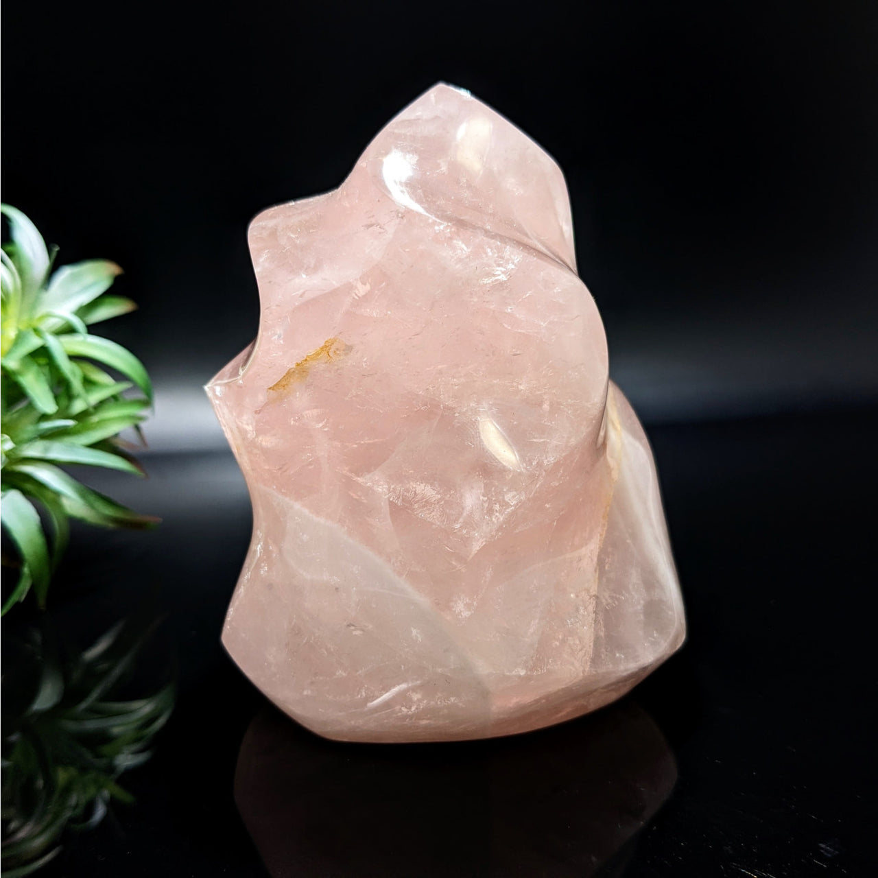 Rose Quartz 4.3’ Flame #LV4743 with a pink quartz stone and plant background